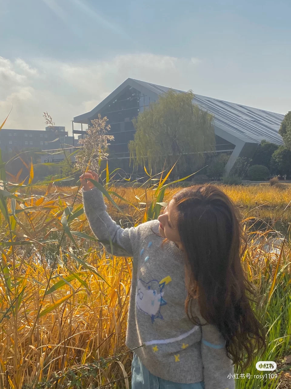 变形记全集 变形记全集视频