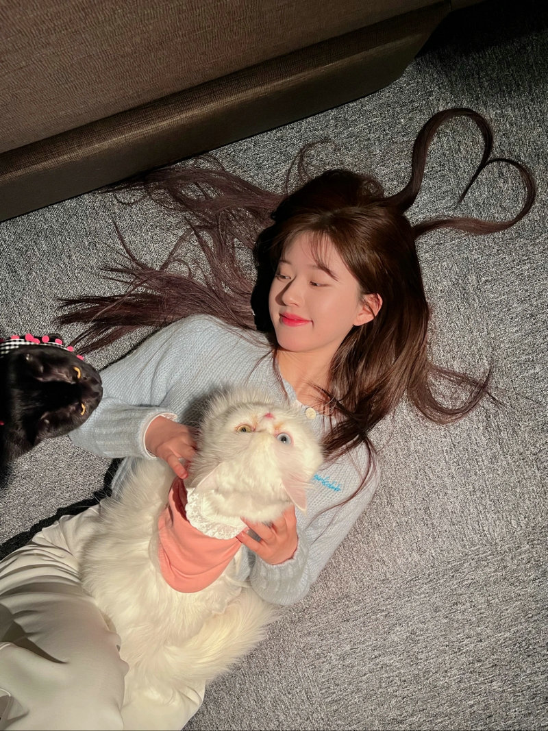 中国好声音第四季免费