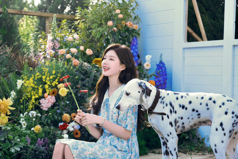 付辛博资料颖儿老公付辛博资料