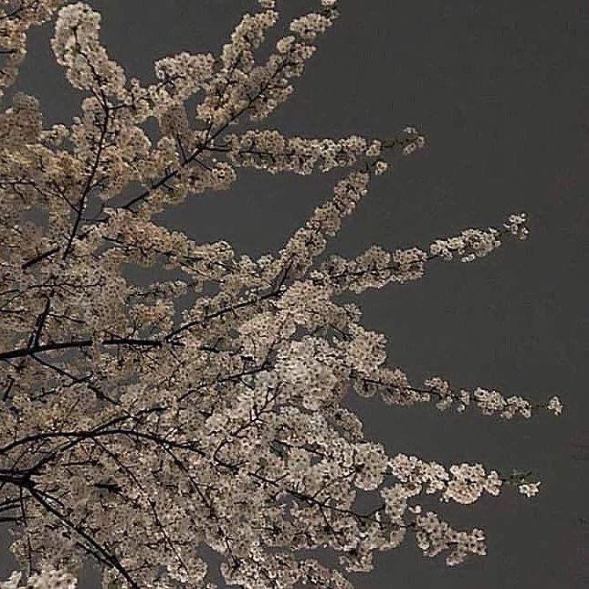 洪湖赤卫队全集 洪湖赤卫队第九集 洪湖赤卫队全集 洪湖赤卫队第九集