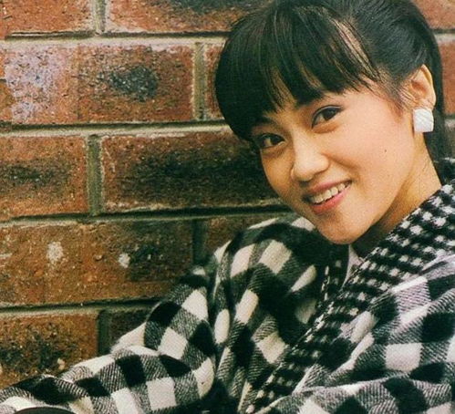 双电子琴轻音乐(双电子琴轻音乐舞曲) 双电子琴轻音乐(双电子琴轻音乐舞曲)