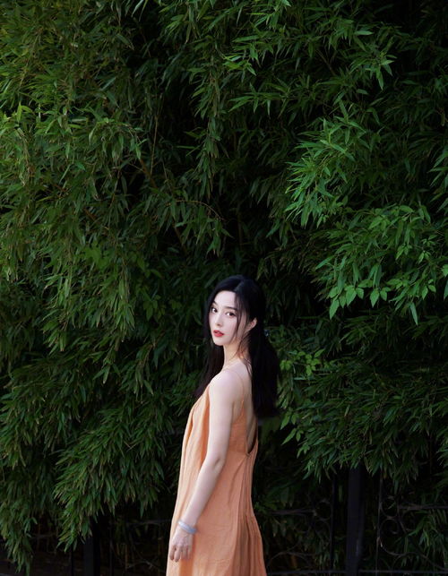 中心_在哪看电影全免费