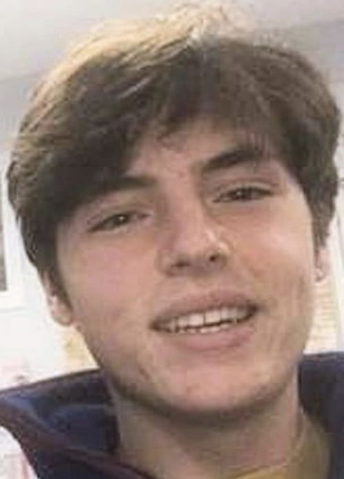 张嘉译前妻_张嘉译前妻归来电视剧