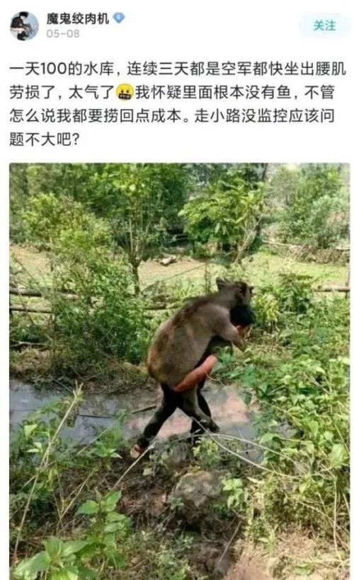 北京封路今天的消息 北京封路今天的消息