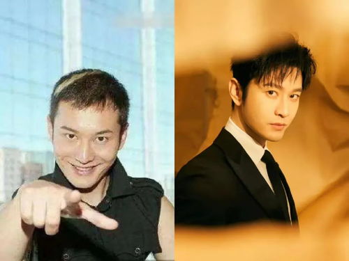 杨幂假唱被揭穿假杨幂声音一分