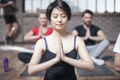 生命缘第一季 生命缘第一季完整版免费观看